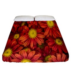 Flowers Nature Plants Autumn Affix Fitted Sheet (california King Size)