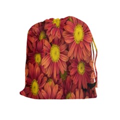 Flowers Nature Plants Autumn Affix Drawstring Pouches (extra Large) by Nexatart