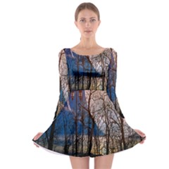 Full Moon Forest Night Darkness Long Sleeve Skater Dress by Nexatart