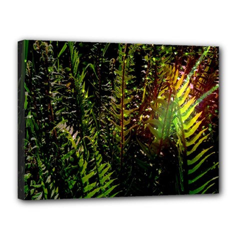 Green Leaves Psychedelic Paint Canvas 16  X 12  by Nexatart