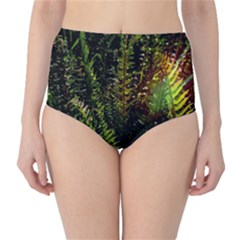 Green Leaves Psychedelic Paint High-waist Bikini Bottoms