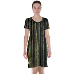 Green And Brown Bamboo Trees Short Sleeve Nightdress by Nexatart