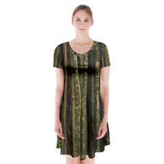 Green And Brown Bamboo Trees Short Sleeve V-neck Flare Dress