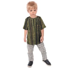 Green And Brown Bamboo Trees Kids  Raglan Tee