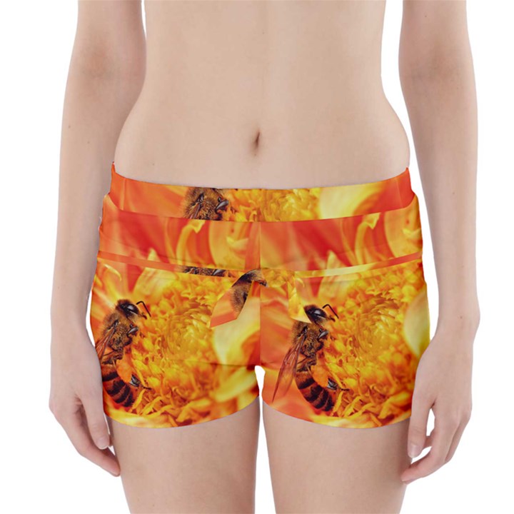 Honey Bee Takes Nectar Boyleg Bikini Wrap Bottoms