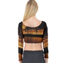 Houses Of Parliament Long Sleeve Crop Top View2