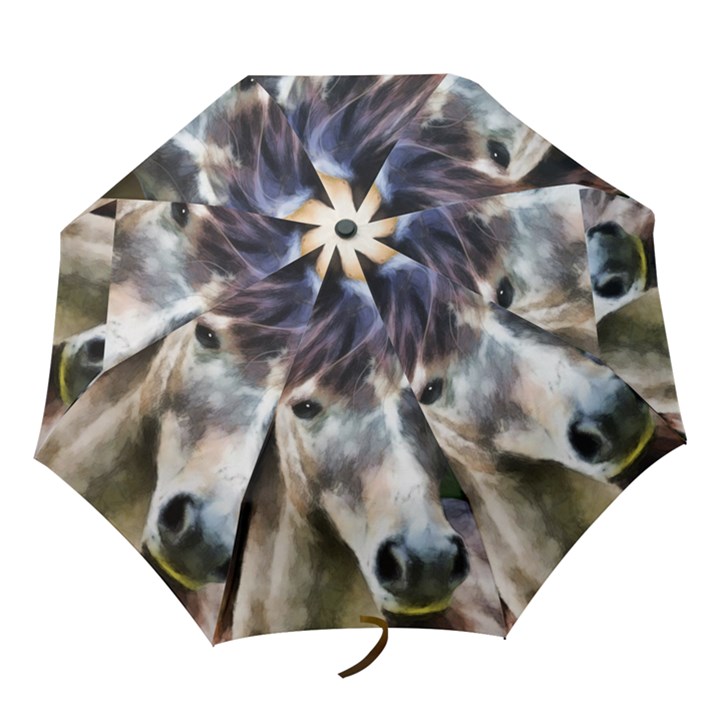 Horse Horse Portrait Animal Folding Umbrellas