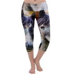 Horse Horse Portrait Animal Capri Yoga Leggings by Nexatart