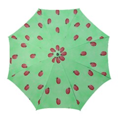 Ladybug Pattern Golf Umbrellas by Nexatart