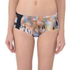 Landscape Sunset Sky Summer Mid-waist Bikini Bottoms by Nexatart