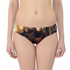 Locomotive Hipster Bikini Bottoms by Nexatart