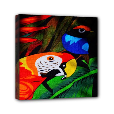 Papgei Red Bird Animal World Towel Mini Canvas 6  X 6  by Nexatart