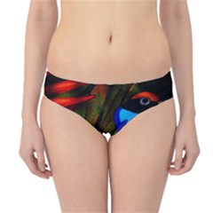 Papgei Red Bird Animal World Towel Hipster Bikini Bottoms by Nexatart