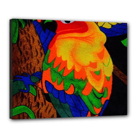 Parakeet Colorful Bird Animal Canvas 20  X 16  by Nexatart