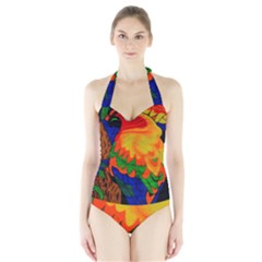 Parakeet Colorful Bird Animal Halter Swimsuit by Nexatart