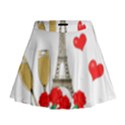 Romance in Paris Mini Flare Skirt View1