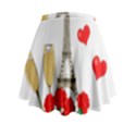 Romance in Paris Mini Flare Skirt View2