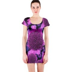 Hintergrund Tapete Keime Viren Short Sleeve Bodycon Dress by Nexatart