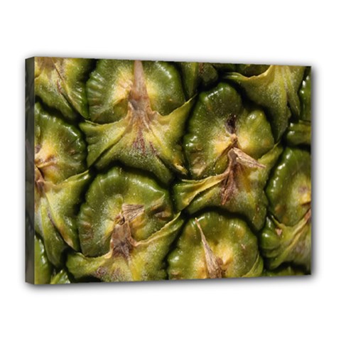 Pineapple Fruit Close Up Macro Canvas 16  X 12  by Nexatart