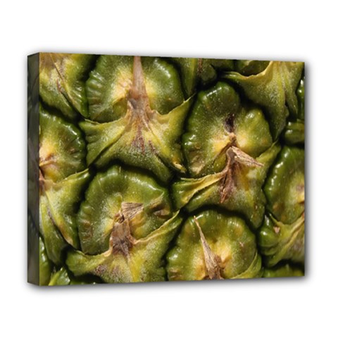 Pineapple Fruit Close Up Macro Deluxe Canvas 20  X 16   by Nexatart