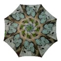 Plant Succulent Plants Flower Wood Golf Umbrellas View1