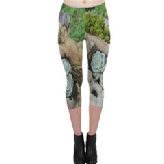 Plant Succulent Plants Flower Wood Capri Leggings  by Nexatart