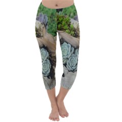 Plant Succulent Plants Flower Wood Capri Winter Leggings  by Nexatart