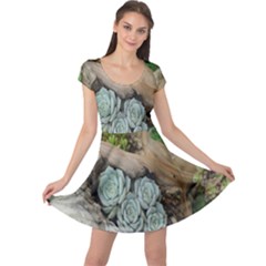 Plant Succulent Plants Flower Wood Cap Sleeve Dresses by Nexatart