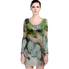 Plant Succulent Plants Flower Wood Long Sleeve Velvet Bodycon Dress by Nexatart