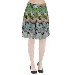 Plant Succulent Plants Flower Wood Pleated Skirt by Nexatart