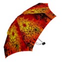 Red Silhouette Star Mini Folding Umbrellas View2