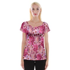 Roses Flowers Rose Blooms Nature Women s Cap Sleeve Top by Nexatart