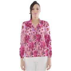 Roses Flowers Rose Blooms Nature Wind Breaker (women) by Nexatart