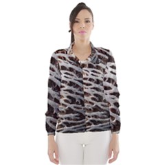 Seed Worn Lines Close Macro Wind Breaker (women) by Nexatart