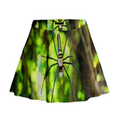 Spider Spiders Web Spider Web Mini Flare Skirt by Nexatart