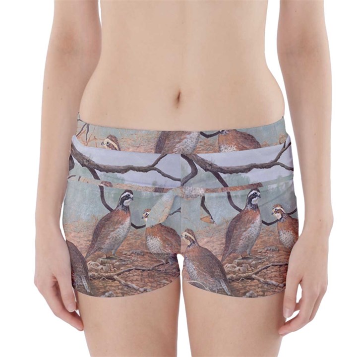 Bob White Quail Boyleg Bikini Wrap Bottoms