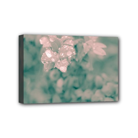 Surreal Floral Mini Canvas 6  X 4  by dflcprints