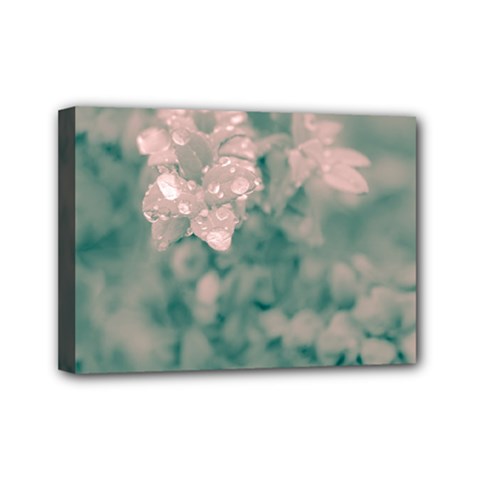 Surreal Floral Mini Canvas 7  X 5  by dflcprints