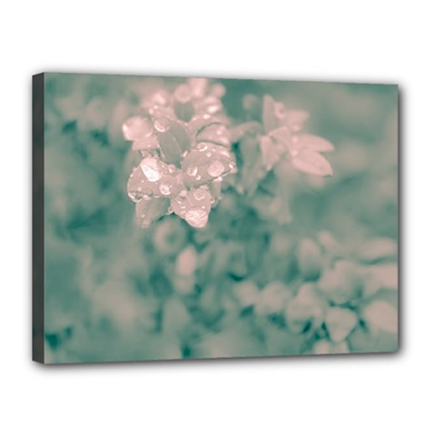 Surreal Floral Canvas 16  X 12  by dflcprints