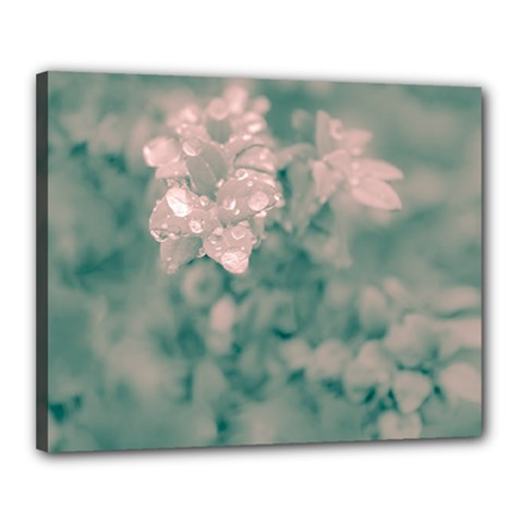 Surreal Floral Canvas 20  X 16  by dflcprints