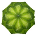 Vector Chirstmas Tree Design Straight Umbrellas View1