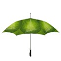 Vector Chirstmas Tree Design Straight Umbrellas View3