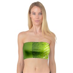 Vector Chirstmas Tree Design Bandeau Top