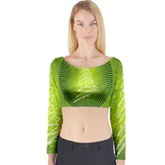 Vector Chirstmas Tree Design Long Sleeve Crop Top