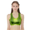 Vector Chirstmas Tree Design Sports Bra with Border View1