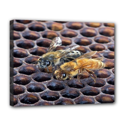 Worker Bees On Honeycomb Canvas 14  x 11 