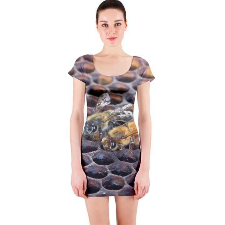 Worker Bees On Honeycomb Short Sleeve Bodycon Dress