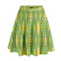 Ornate Modern Noveau High Waist Skirt View1