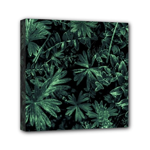 Dark Flora Photo Mini Canvas 6  X 6  by dflcprints