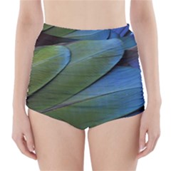 Feather Parrot Colorful Metalic High-waisted Bikini Bottoms by Amaryn4rt